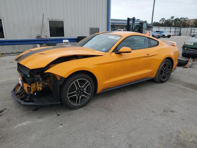Ford All models (2019)