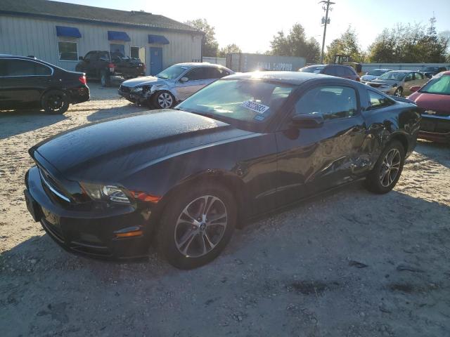 Ford All models (2014)