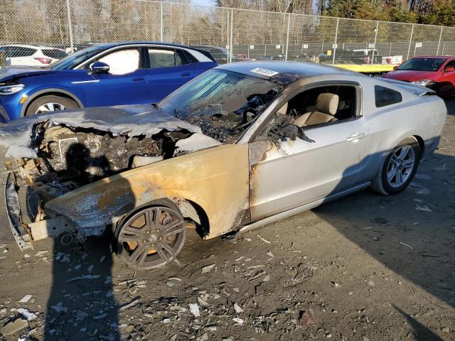 Ford All models (2014)