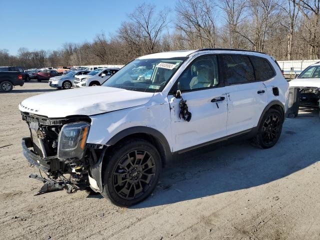 Kia Telluride (2022)