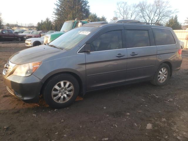 Honda All models (2010)