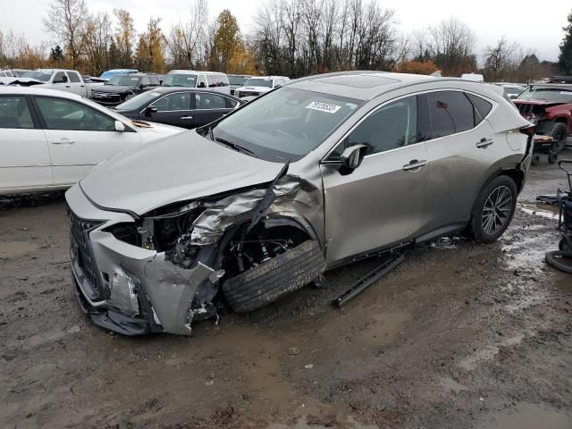Lexus Nx 350 pre (2024)