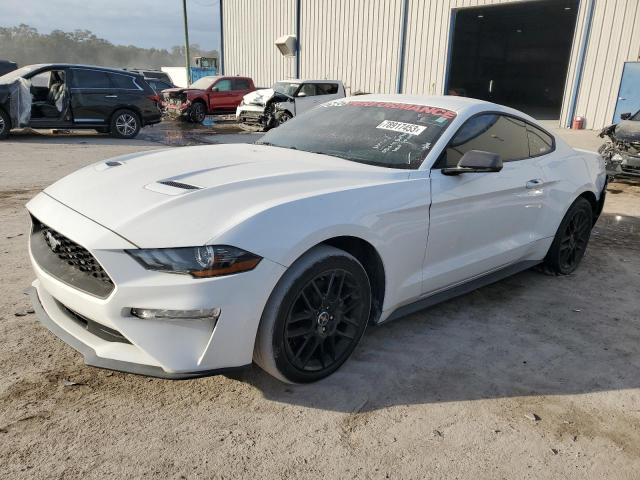 Ford All models (2019)