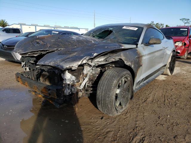 Ford All models (2019)