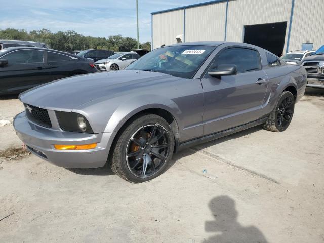 Ford All models (2006)