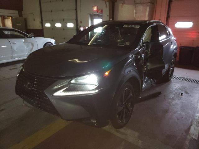Lexus Nx 300 (2019)