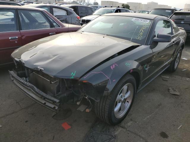 Ford All models (2007)