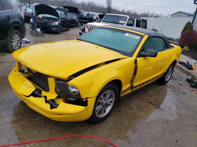 Ford All models (2005)