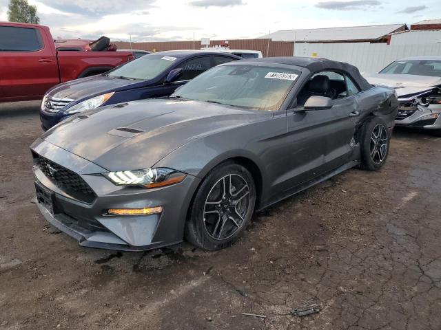 Ford All models (2023)
