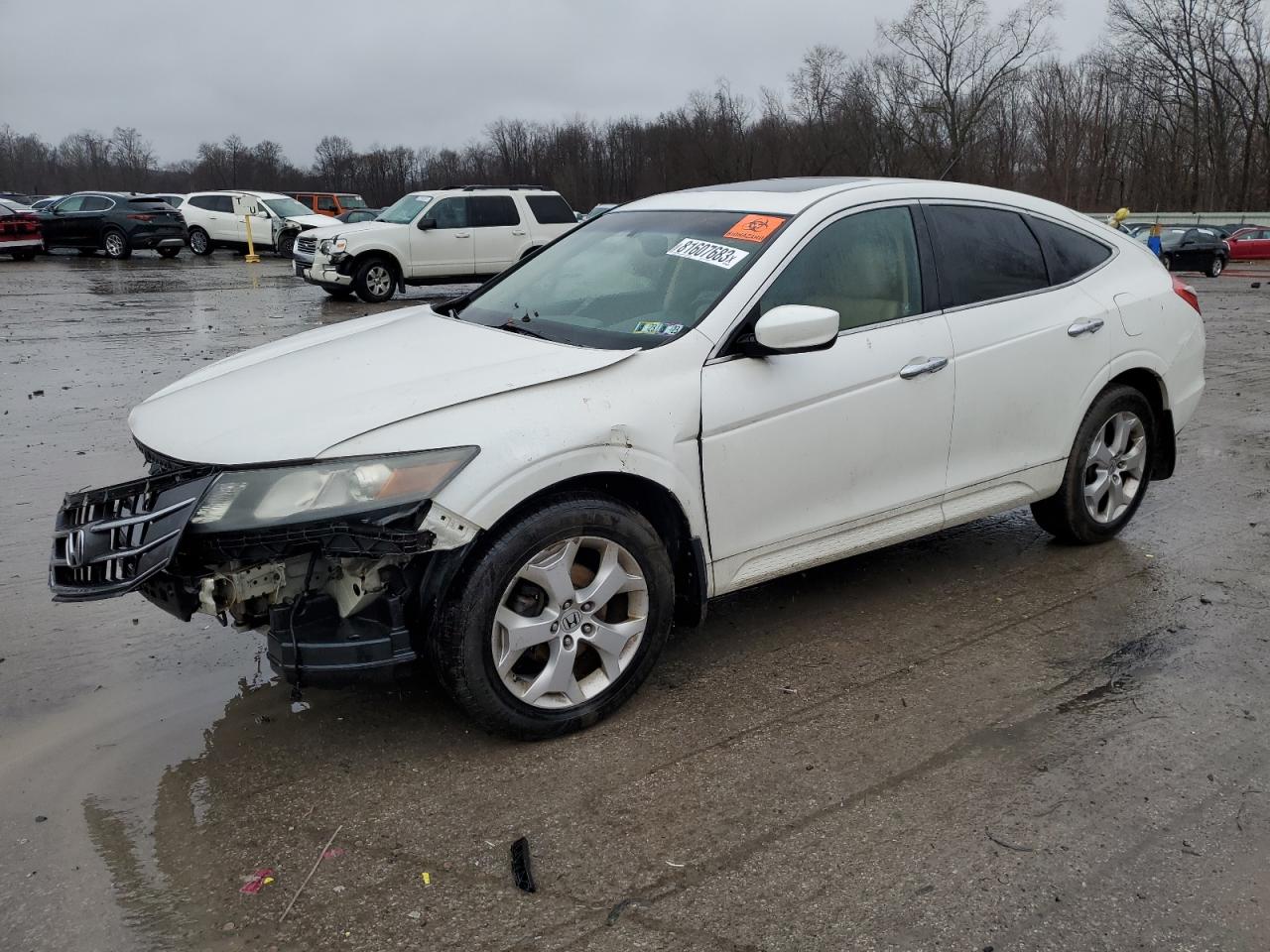 Honda Crosstour (2010)