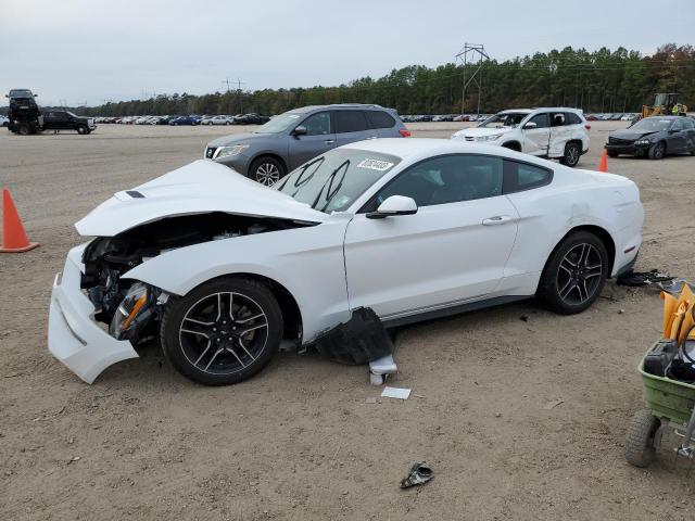 Ford All models (2020)