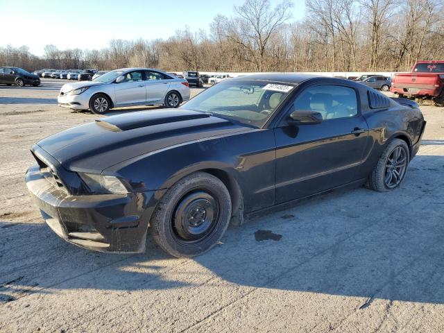 Ford All models (2014)