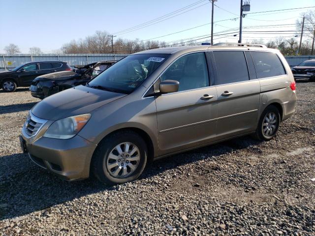 Honda All models (2010)