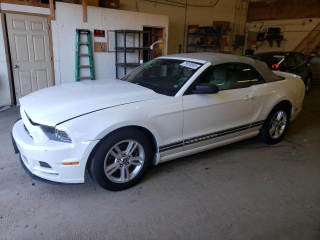 Ford All models (2013)