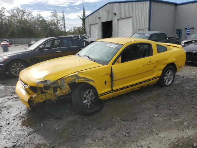 Ford All models (2006)