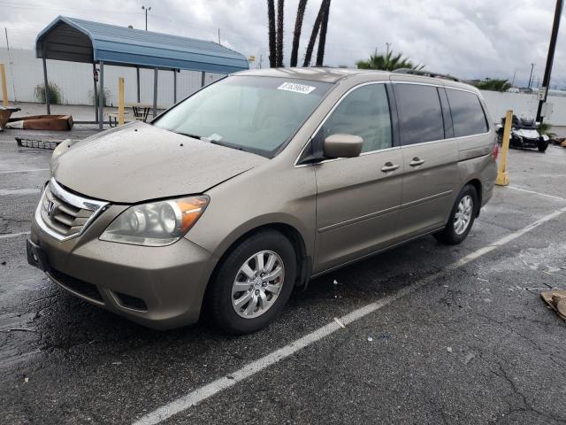 Honda All models (2010)
