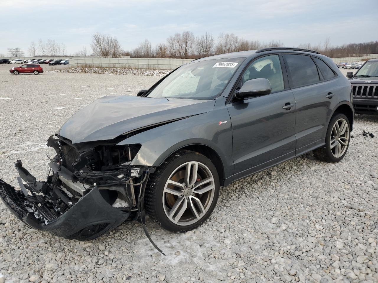 Audi Sq5 (2015)