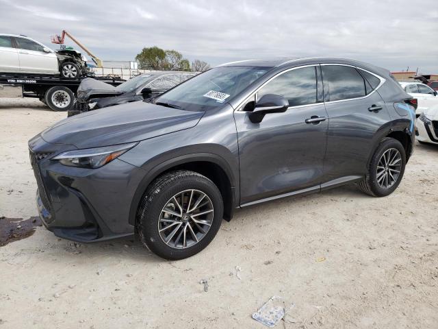 Lexus Nx 350 pre (2024)
