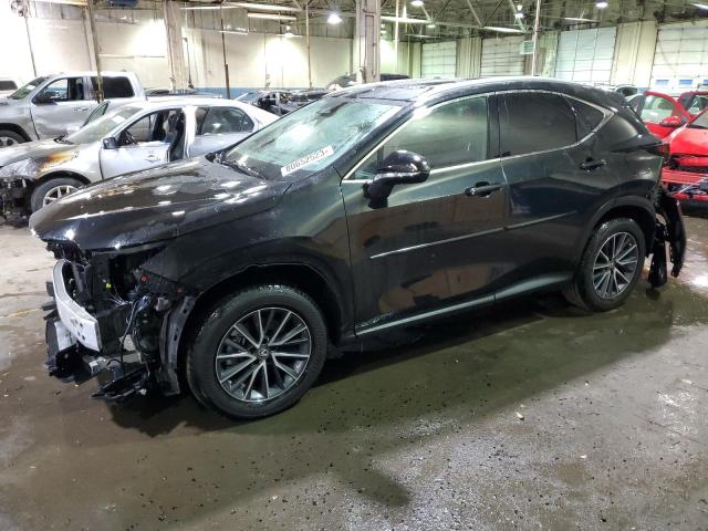 Lexus Nx 350 (2023)