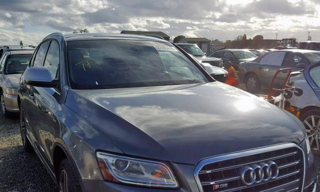 Audi Sq5 (2014)