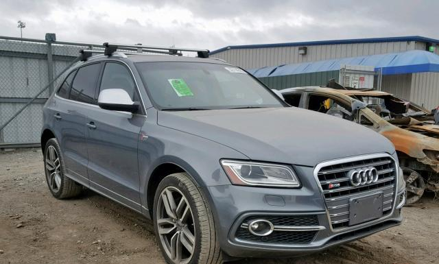 Audi Sq5 (2014)