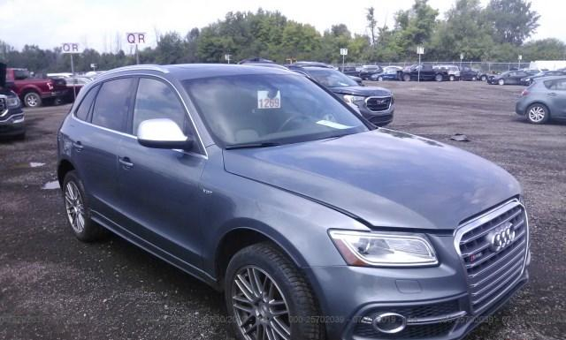 Audi Sq5 (2014)