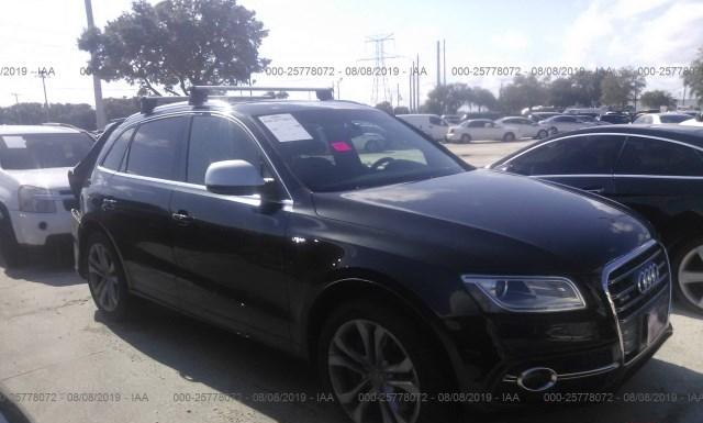 Audi Sq5 (2013)