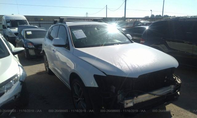 Audi Sq5 (2015)