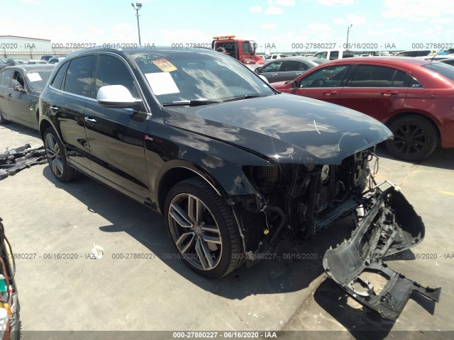 Audi Sq5 (2015)