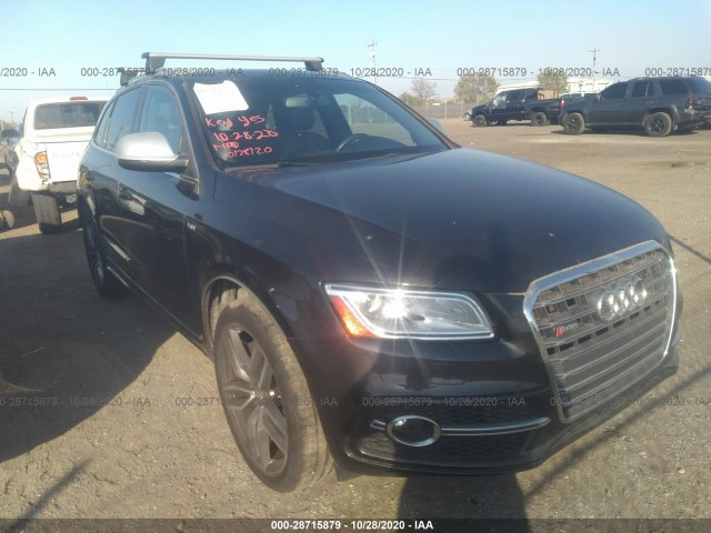 Audi Sq5 (2014)
