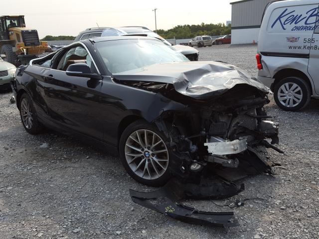 Bmw 228 xi sul (2015)