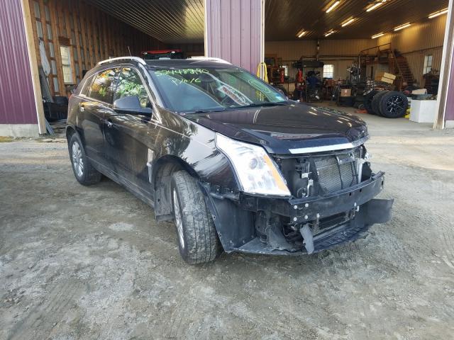 Cadillac Srx luxury (2012)