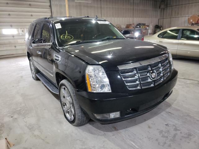 Cadillac Escalade h (2011)
