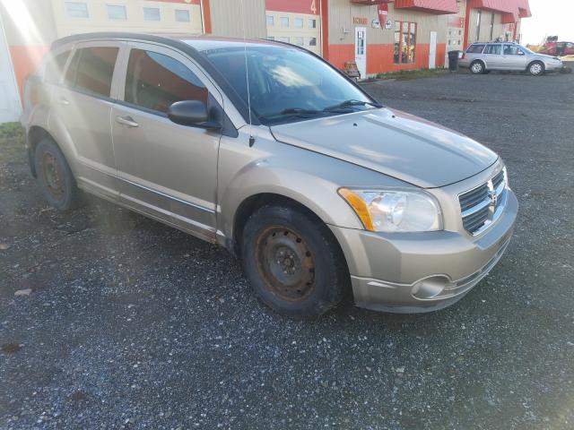Dodge Caliber sx (2010)