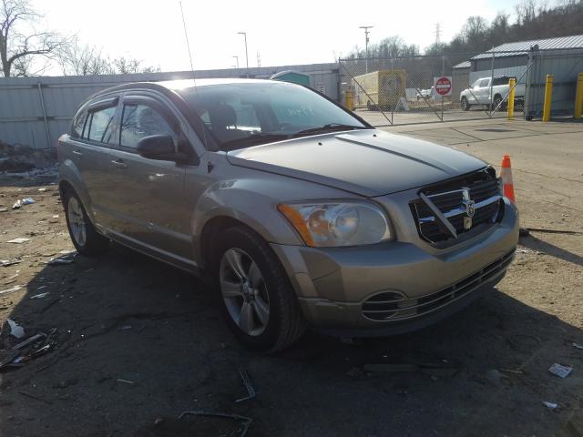 Dodge Caliber sx (2010)