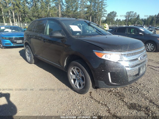 Ford Edge (2013)