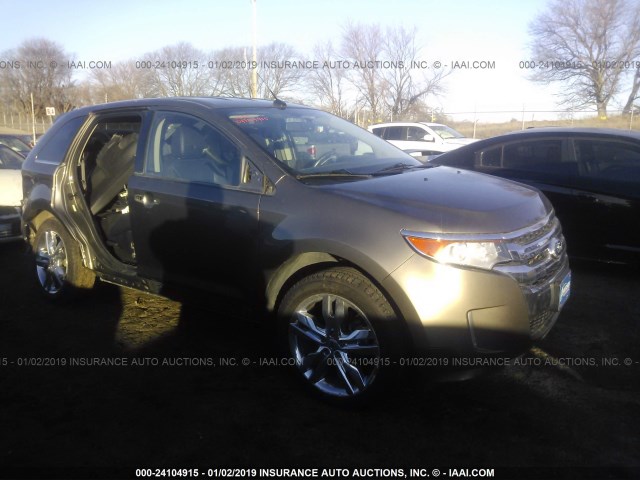 Ford Edge (2013)