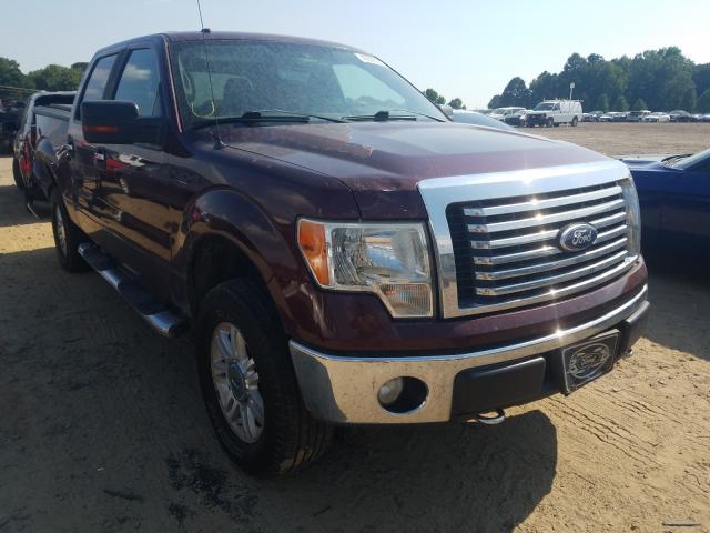 Ford F-150 (2010)