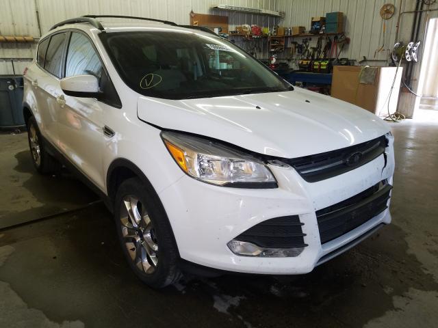 Ford Escape se (2014)