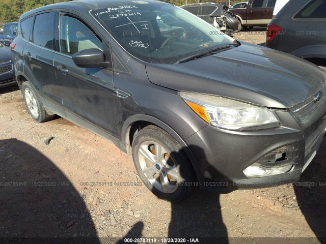 Ford Escape (2014)