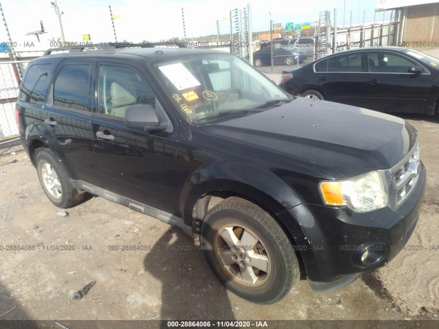 Ford Escape (2010)