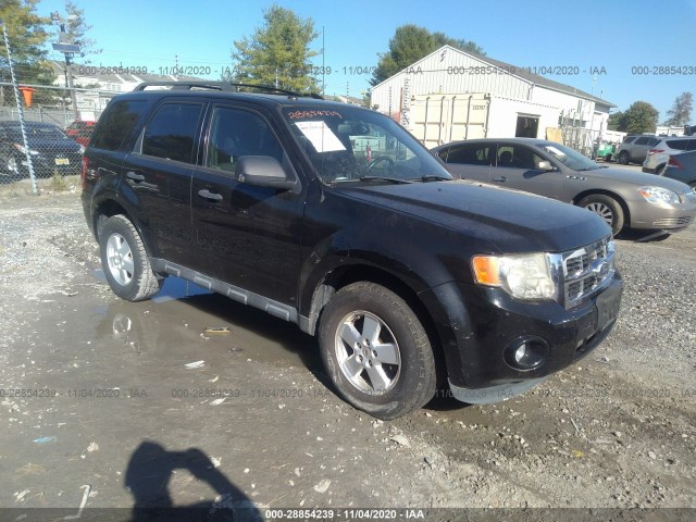 Ford Escape (2011)