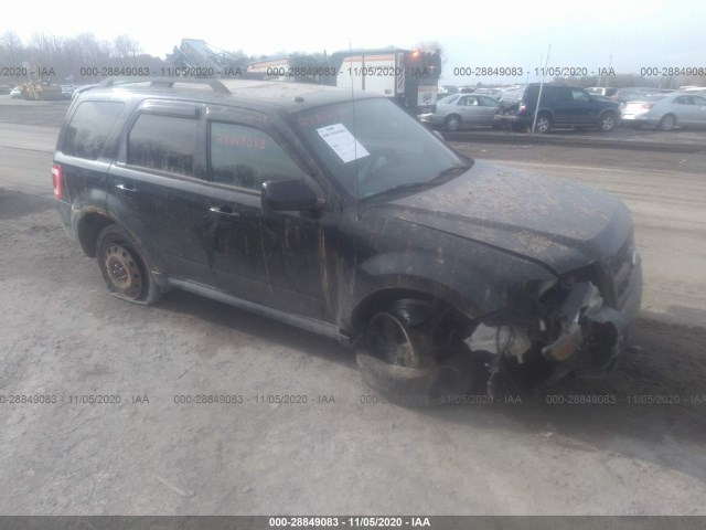 Ford Escape (2010)