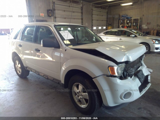 Ford Escape (2010)