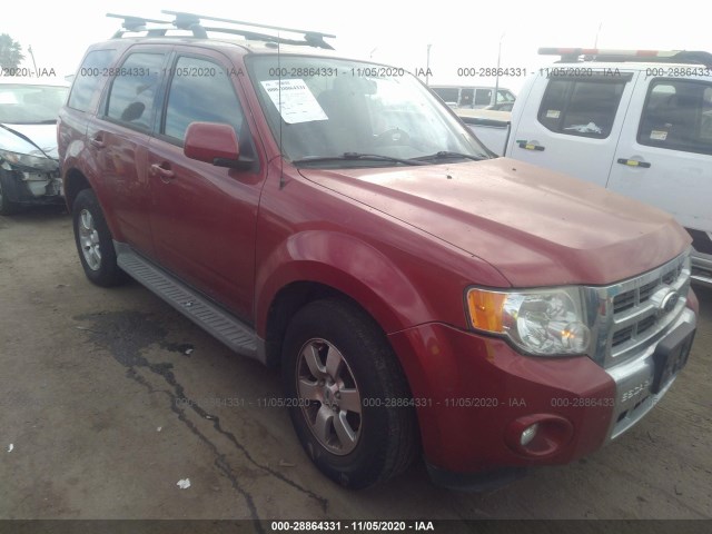 Ford Escape (2010)