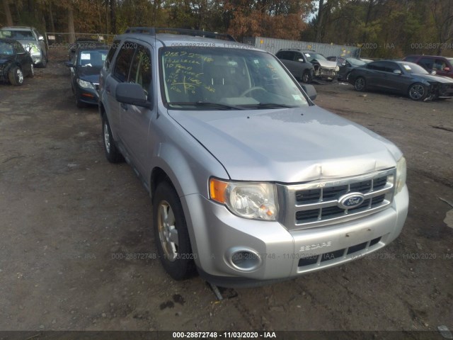 Ford Escape (2010)