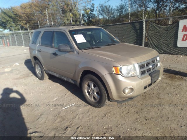 Ford Escape (2011)