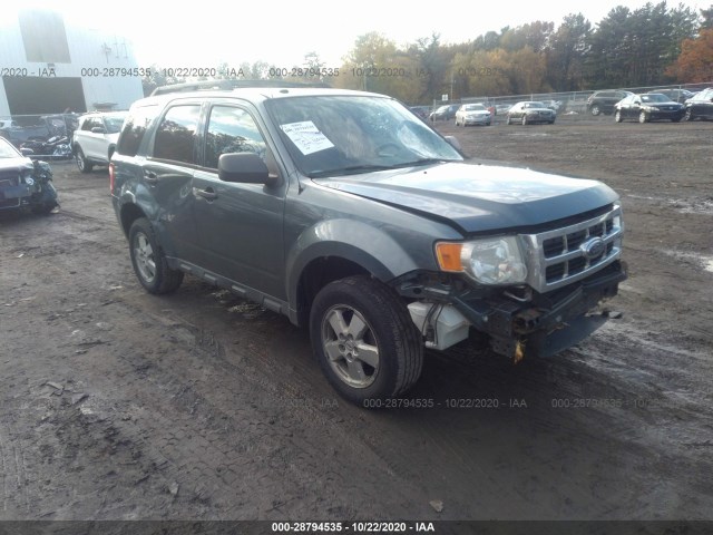 Ford Escape (2010)