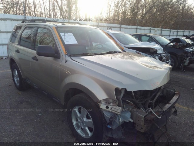 Ford Escape (2010)