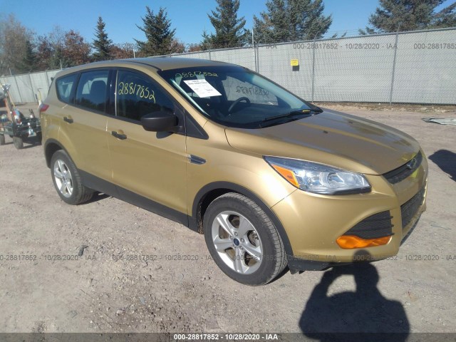 Ford Escape (2014)